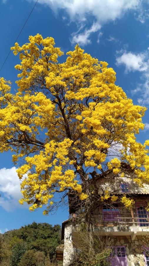 São Tomé das Letras Repouso Solヴィラ エクステリア 写真
